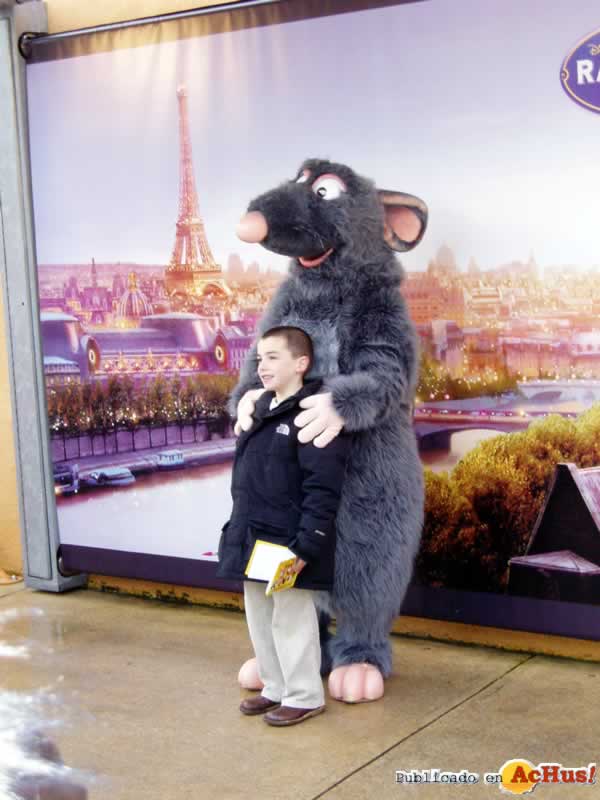 Imagen de Parque Walt Disney Studios   Con Ratatouille